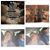 Jenny Love's profile image