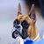 Cheryl C Robbins's profile image