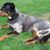 Juanita Jones's profile image