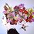Elina Gra-Edel's profile image