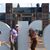 Sheri Roskopf's profile image