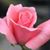 Wendy Lee's profile image