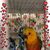 Kim Davis Schulte's profile image