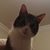 Linda Doss Schmitt's profile image