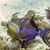 Cindi Gianopoulos's profile image