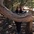 Ronda Thibodeaux's profile image