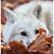 Gail White's profile image