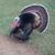 Katherine Hosmer's profile image