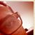 Rafal Gawrys's profile image