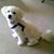 RaDonna R Whitehead's profile image