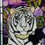 Donna Swisher Scott's profile image