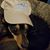 Rick Segers's profile image