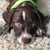 Mark Hopson's profile image