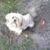 Dawn Copus's profile image