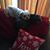 Sylvia Singleton Stanton's profile image