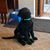Colleen Zier Heagy's profile image