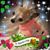 Dolly Kelly's profile image