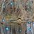 Barbara Young Poche''s profile image