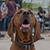 Guidry Boyce's profile image