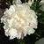 Beth Remke's profile image
