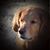 Lisa Ellis's profile image