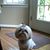 Sophie Burns's profile image