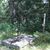 Linda Heminger Black's profile image