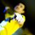Shylo Musgrove's profile image