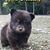 Deb Thorson Kruk's profile image