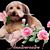 Yasmina Selbonne's profile image