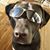 Patty Mcgreevy's profile image