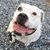 Mary Mackereth's profile image
