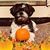 Martha McKell Price's profile image
