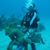 Nicholas Prechter's profile image