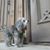 Joann Joseph's profile image