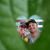 Mike Valentine's profile image