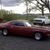 Katie Coberly Carbaugh's profile image