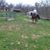 Stephanie Sleister's profile image
