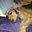 Shelley Gaske's profile image