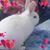Sandra Camacho's profile image
