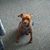 Rod Lee Guiles Jr.'s profile image