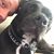 Robert Ruggiero's profile image