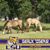 Dona Walker Gagliano's profile image