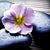 Simply Beautiful's profile image