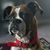 Glenda Morgan - Robinson's profile image