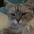 Tiffany Melchers's profile image