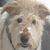 Michele Bucci's profile image