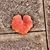 Anna Granado Schoneker's profile image