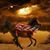 Bill Goings's profile image