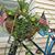 Christine Hopkins-Spidell's profile image